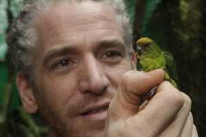 NHU cameraman, Gordon Buchanan, with the world's smallest parrot © Jonny Keeling