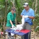 Wild Scarlet Macaw Chick Veterinary Exam in Guatemala